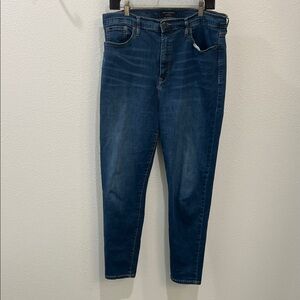 Banana Republic Deep Blue Skinny Jeans